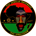 Pan African Movement – Pan Africanism Graphic Tee